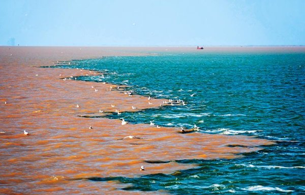 融金牛 瞭望 | 东营黄河口湾区，“一张图”成就河海交汇之美